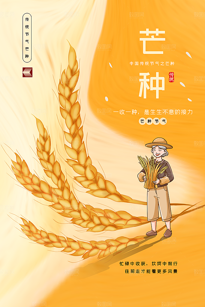 芒种节气简约大气海报