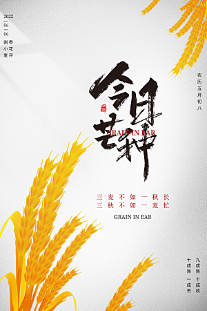 芒种节气简约大气海报