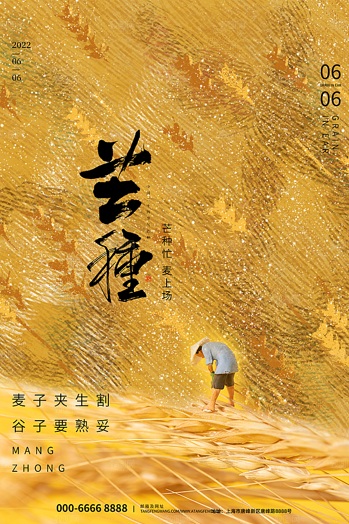 芒种节气简约大气海报