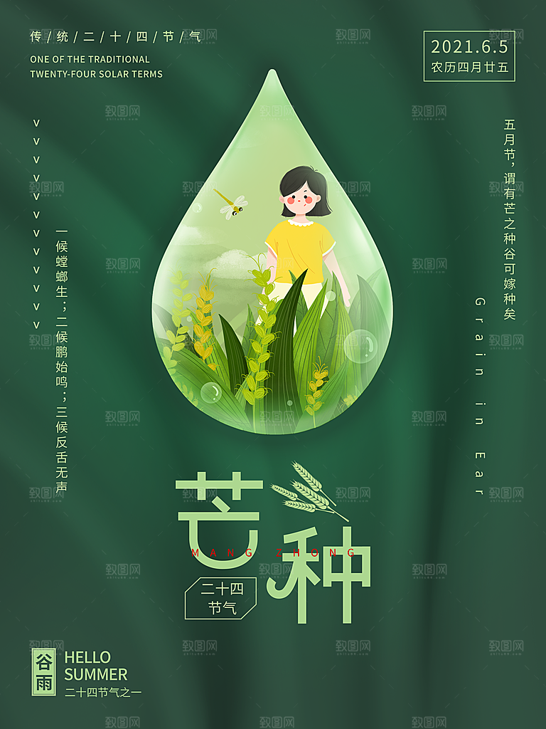 芒种节气简约大气海报