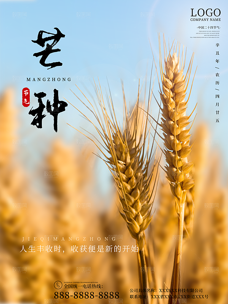 芒种节气简约大气海报