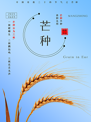 芒种节气简约大气海报
