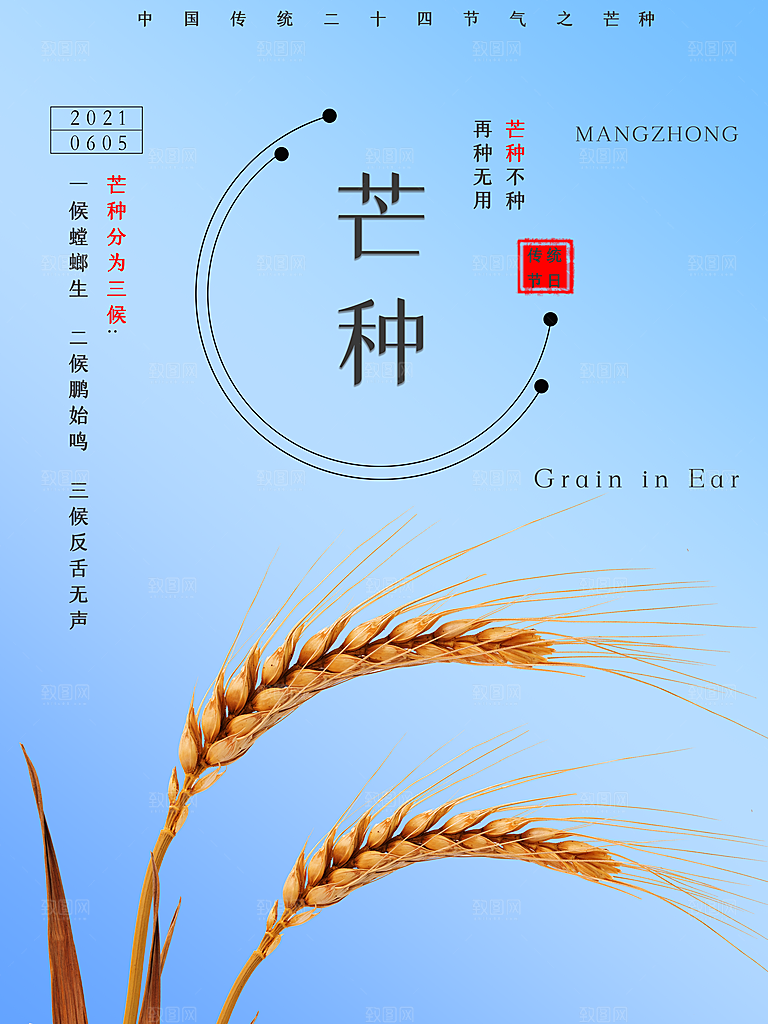 芒种节气简约大气海报