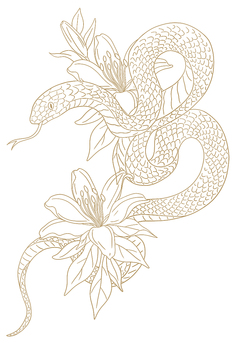 新年蛇年蛇PNG元素