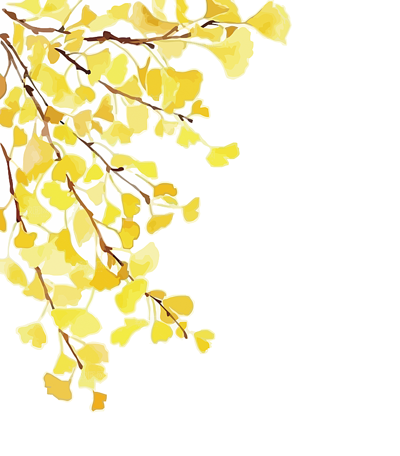 秋天叶子落叶枫叶素材元素