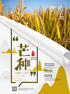 芒种节气简约大气海报