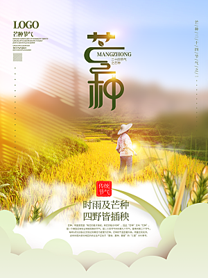 芒种节气简约大气海报