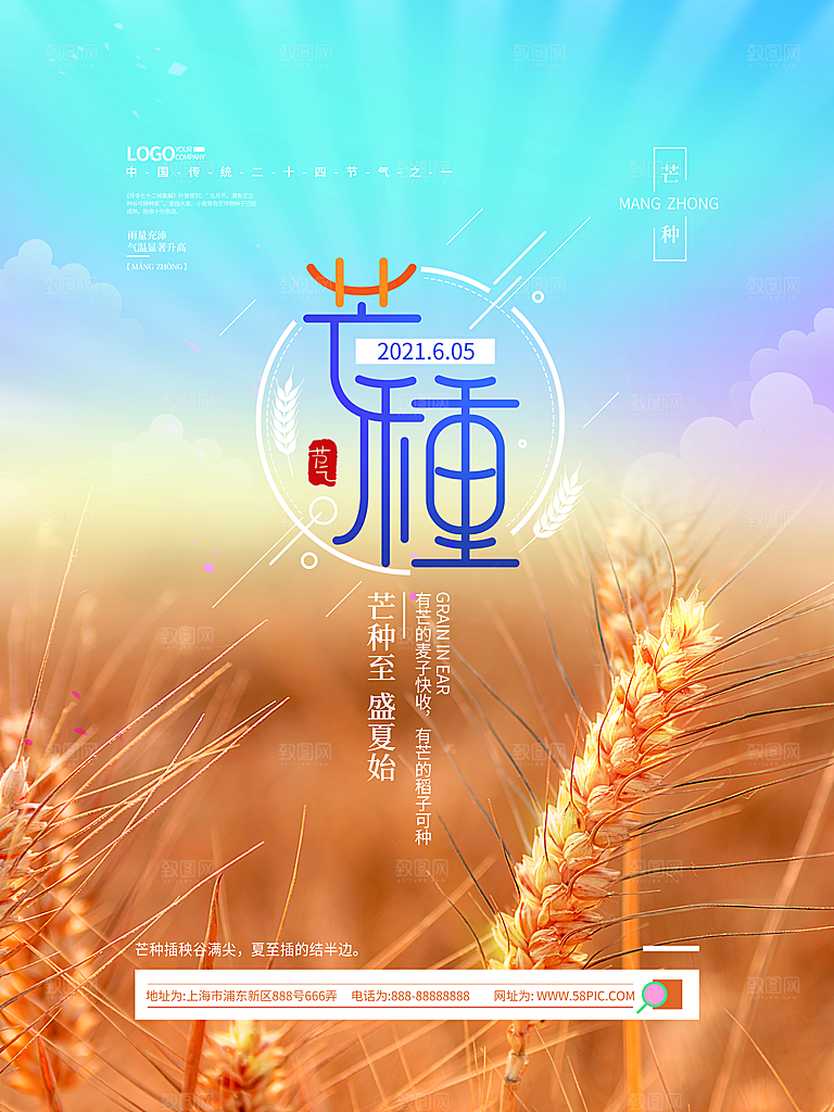 芒种节气简约大气海报