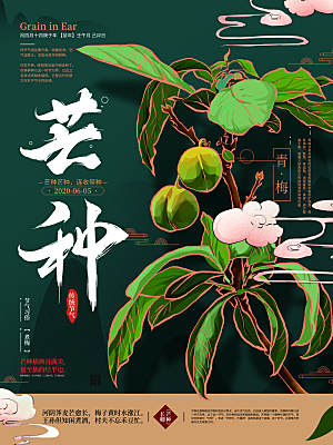芒种节气简约大气海报