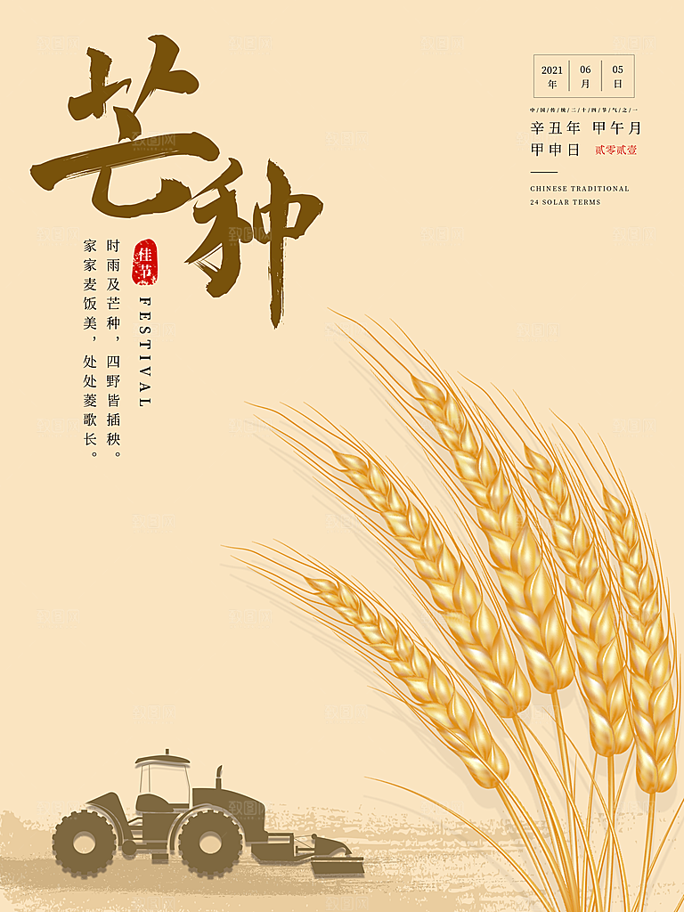 芒种节气简约大气海报