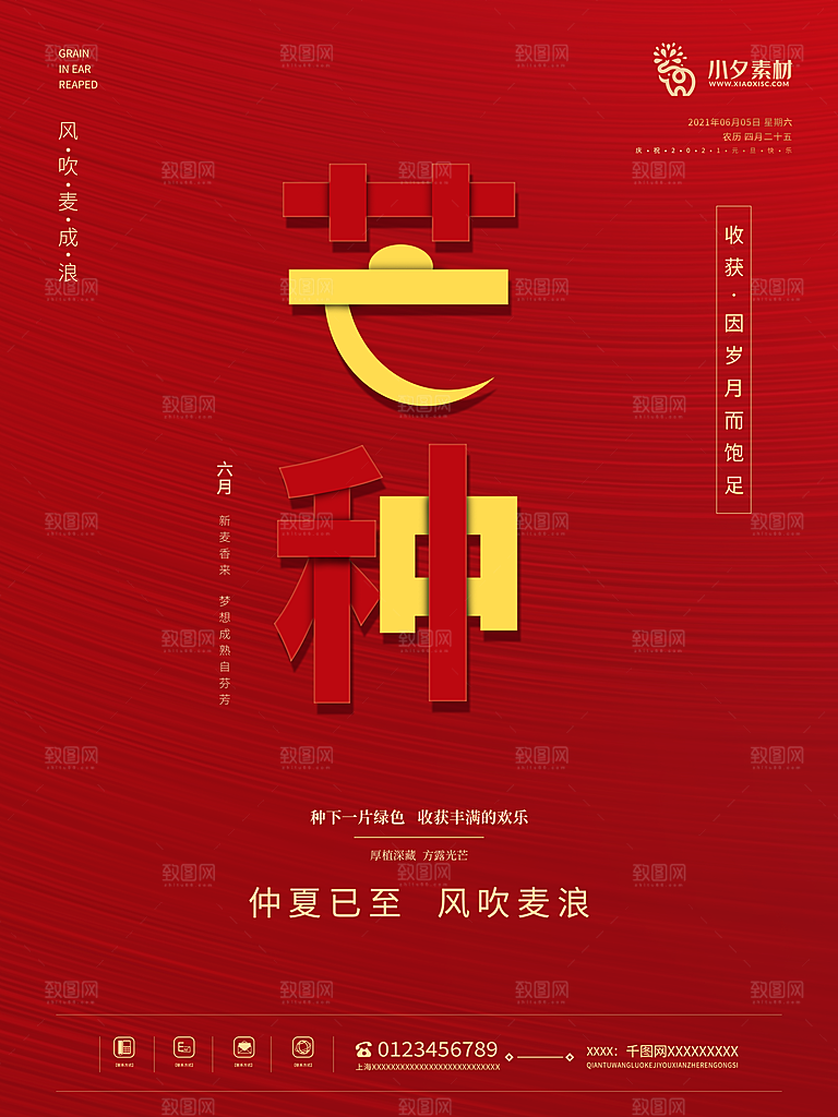芒种节气简约大气海报