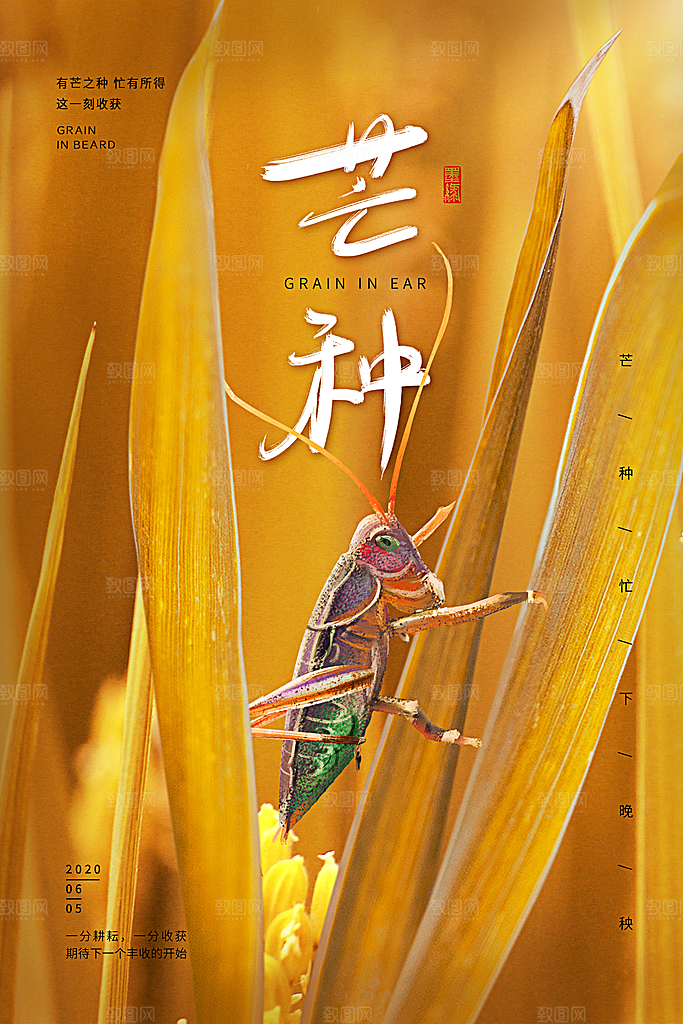 传统节气芒种海报模板