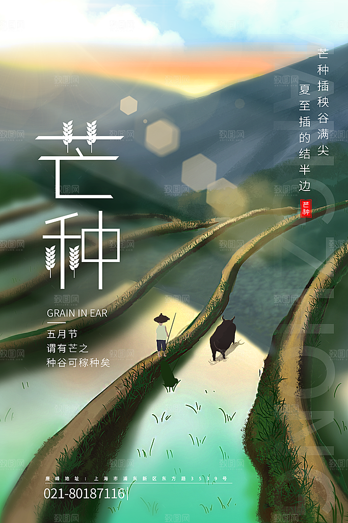 传统节气芒种海报模板