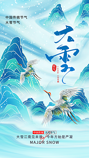 大雪节气简约大气海报