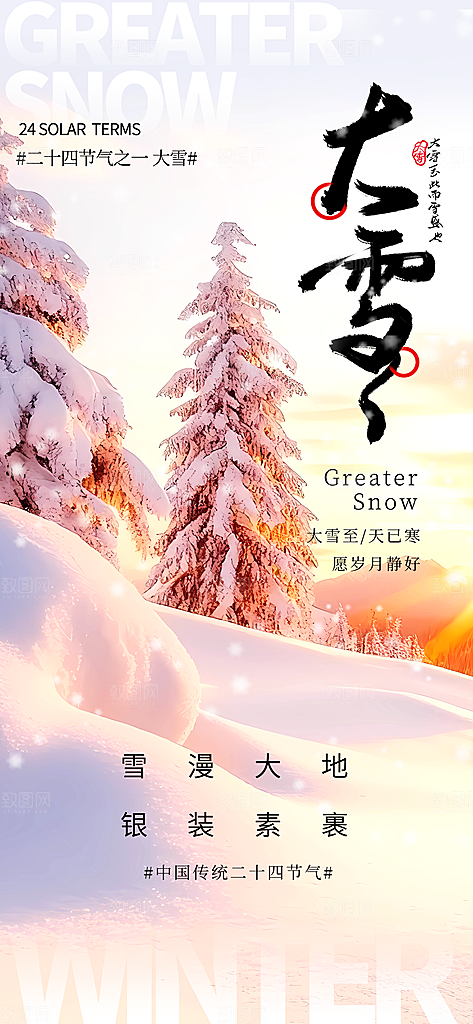 大雪节气简约大气海报