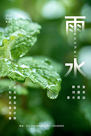 创意二十四节气雨水春节春天宣传海报