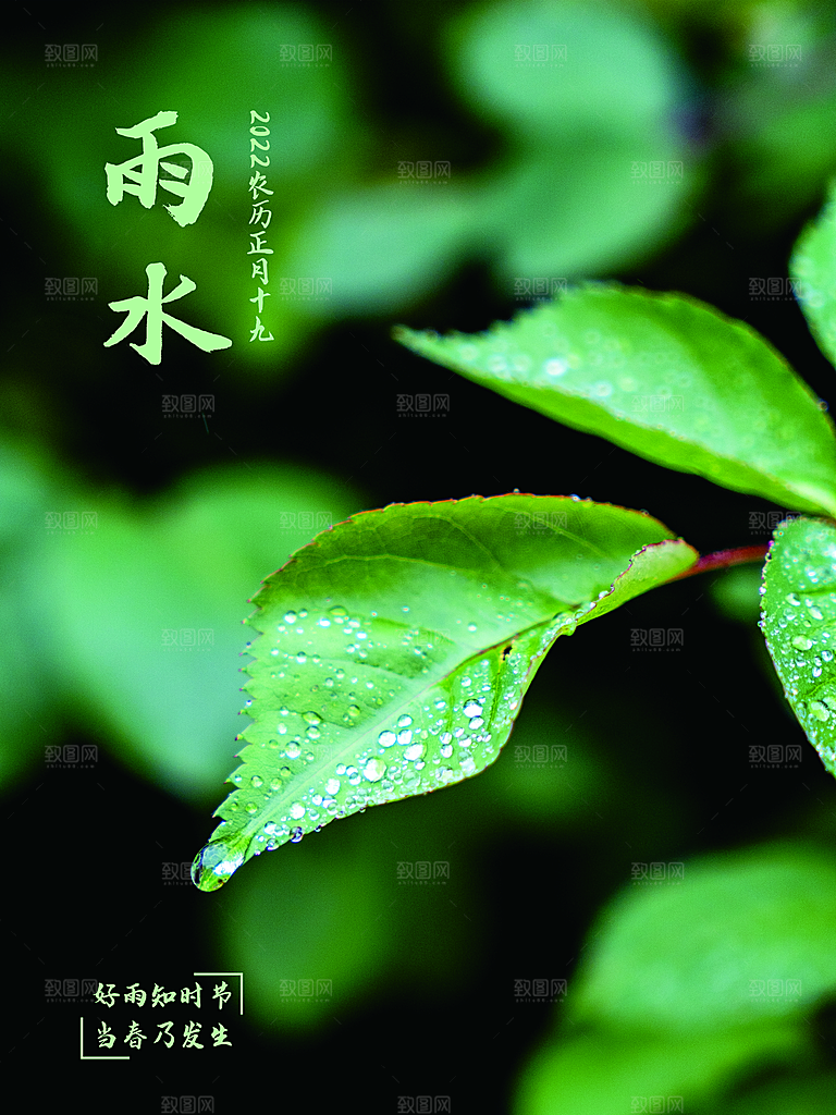 创意二十四节气雨水春节春天宣传海报