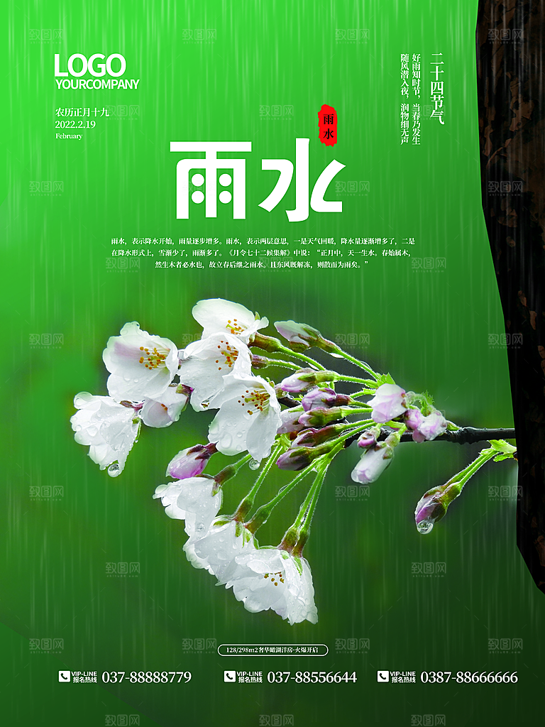 创意二十四节气雨水春节春天宣传海报