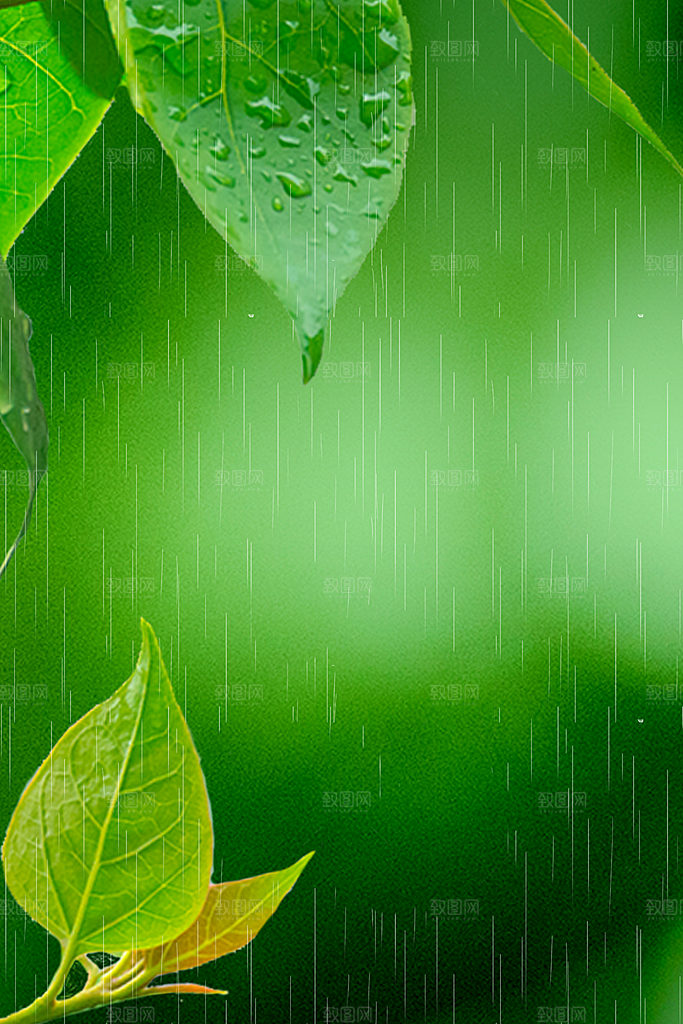 二十四节气雨水背景海报插画