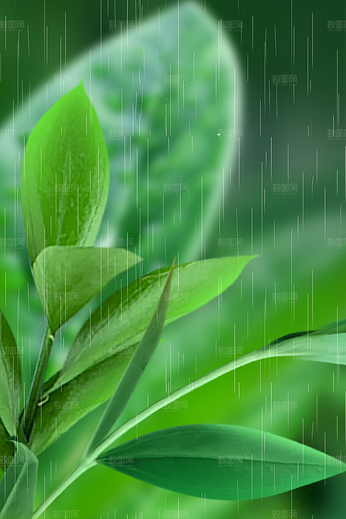 二十四节气雨水背景海报插画