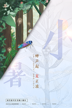 小暑节气简约大气海报