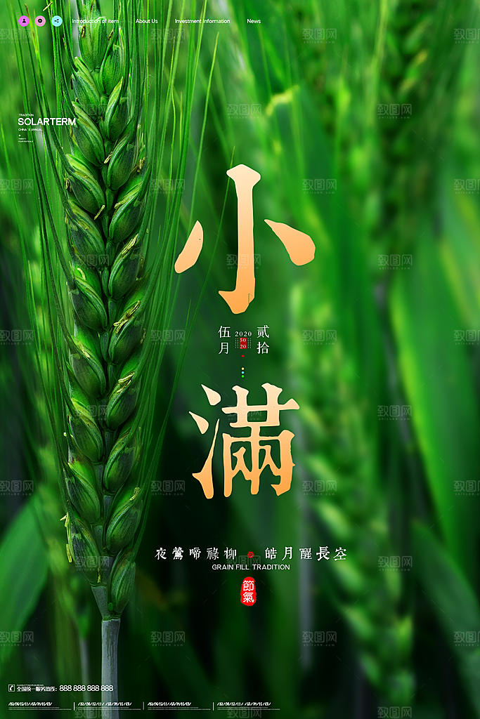中国传统二十四节气小满节气宣传海报