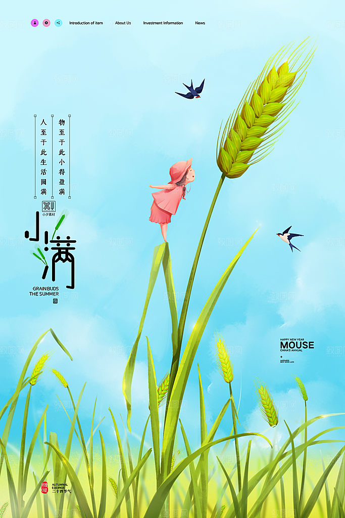 中国传统二十四节气小满节气宣传海报