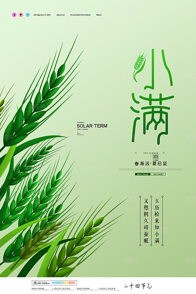 中国传统二十四节气小满节气宣传海报