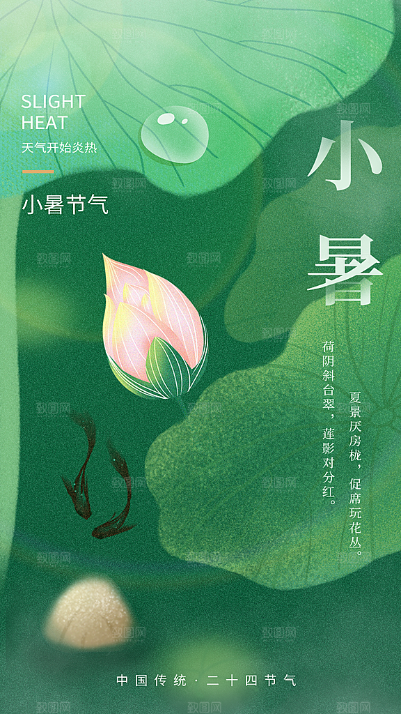 小暑节气简约大气海报