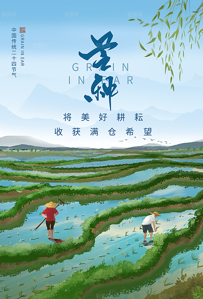芒种节气简约大气海报
