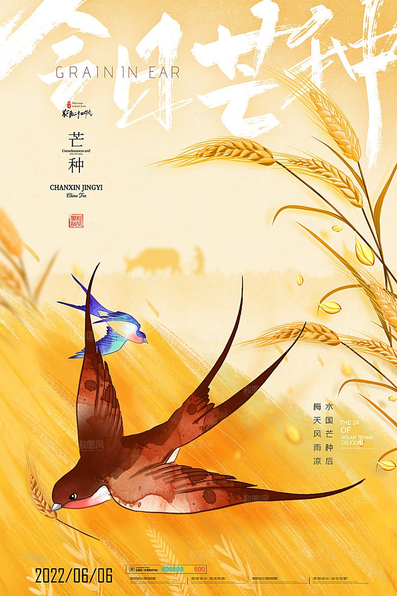芒种节气简约大气海报
