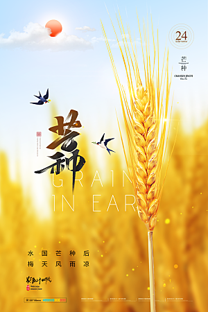 芒种节气简约大气海报