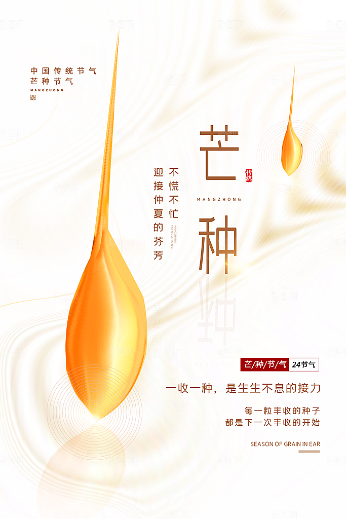 芒种节气简约大气海报