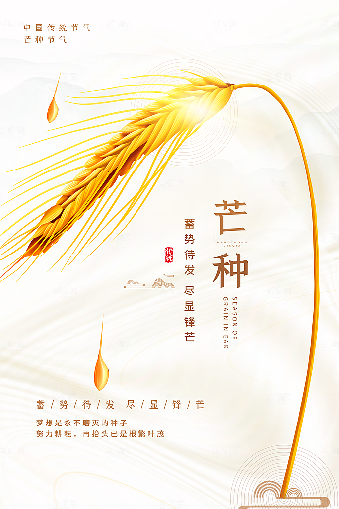 芒种节气简约大气海报