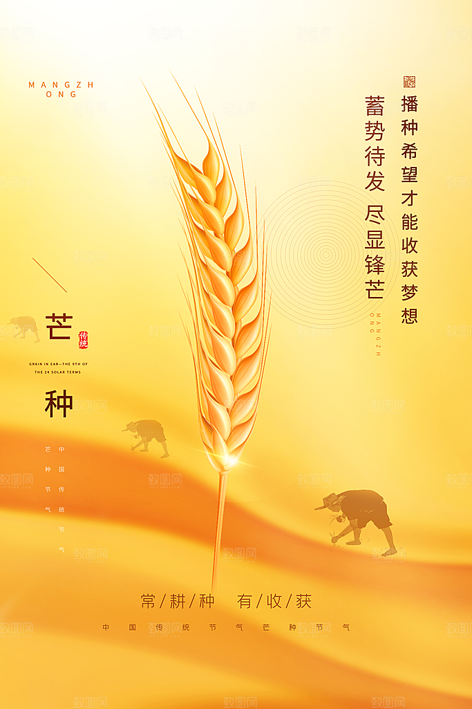 芒种节气简约大气海报