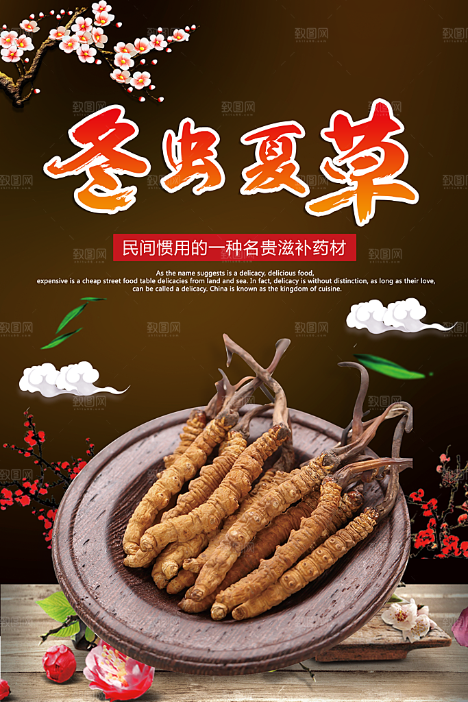 冬虫夏草宣传海报设计