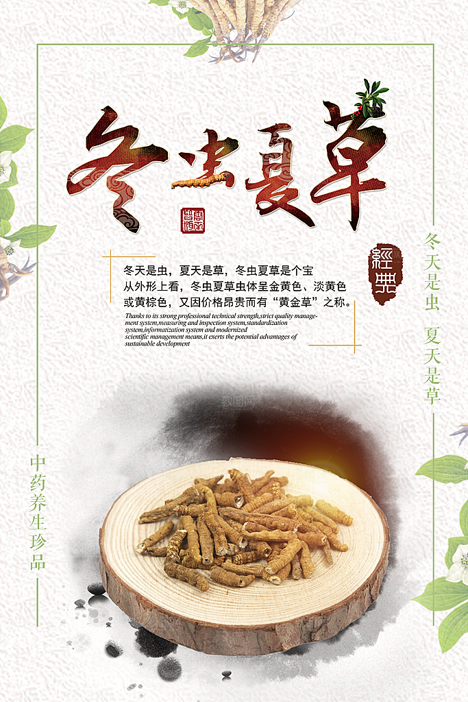 冬虫夏草宣传海报设计