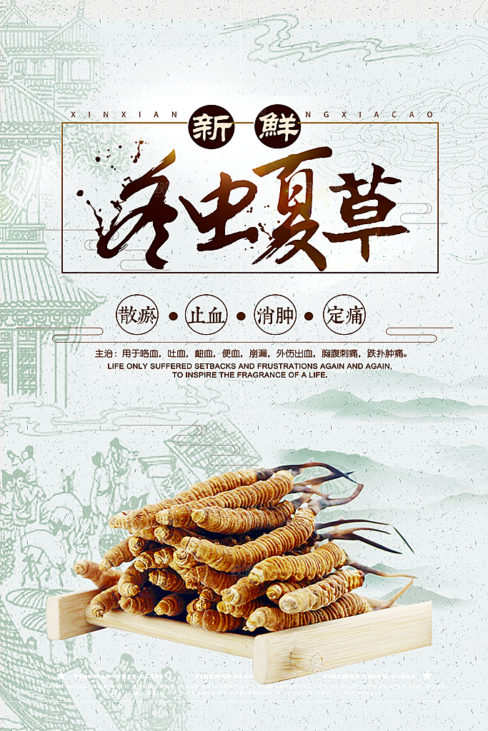 冬虫夏草宣传海报设计