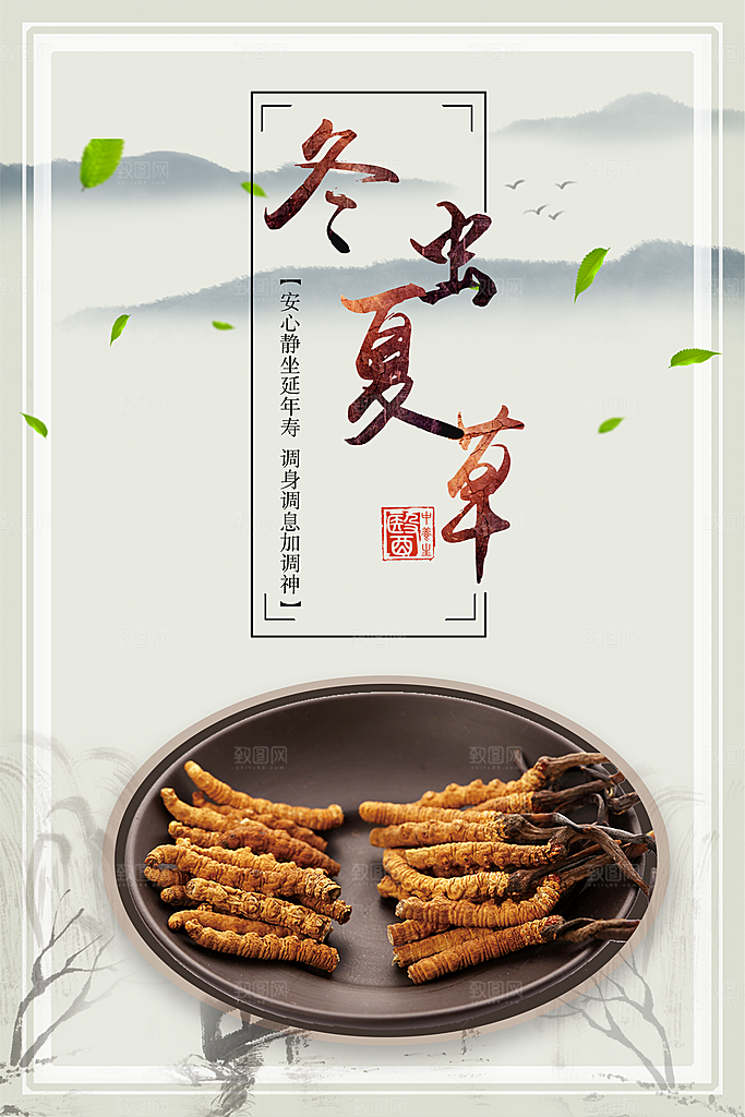 冬虫夏草宣传海报设计素材