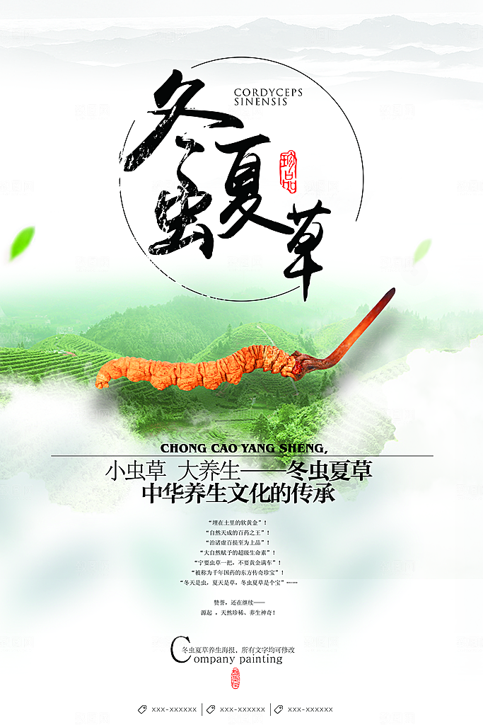 冬虫夏草宣传海报设计素材
