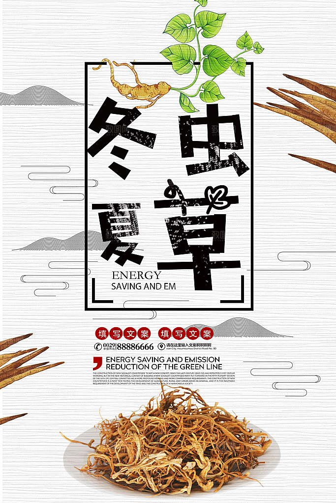 冬虫夏草宣传海报设计素材