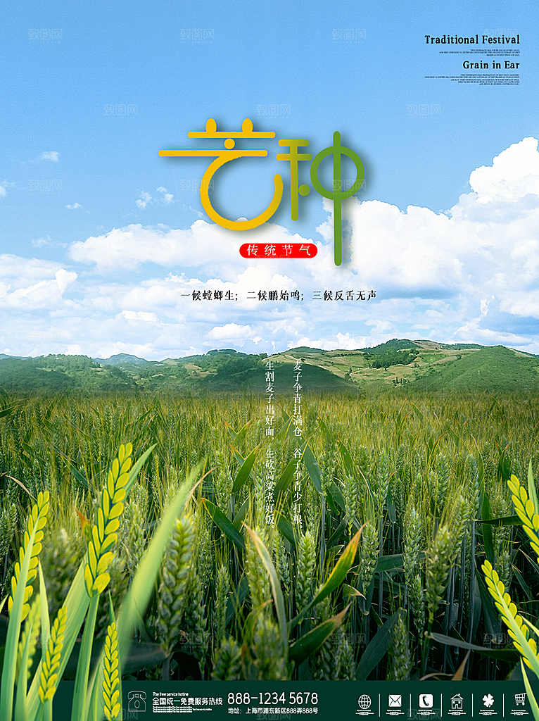 传统节气芒种海报模板