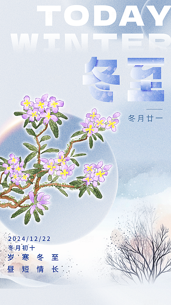 冬至节气简约大气海报