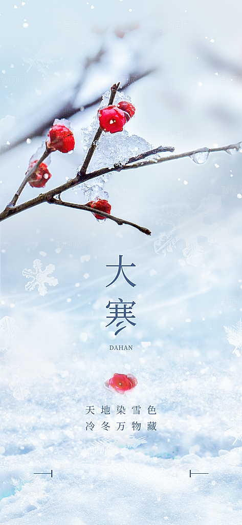 大寒节气简约大气海报
