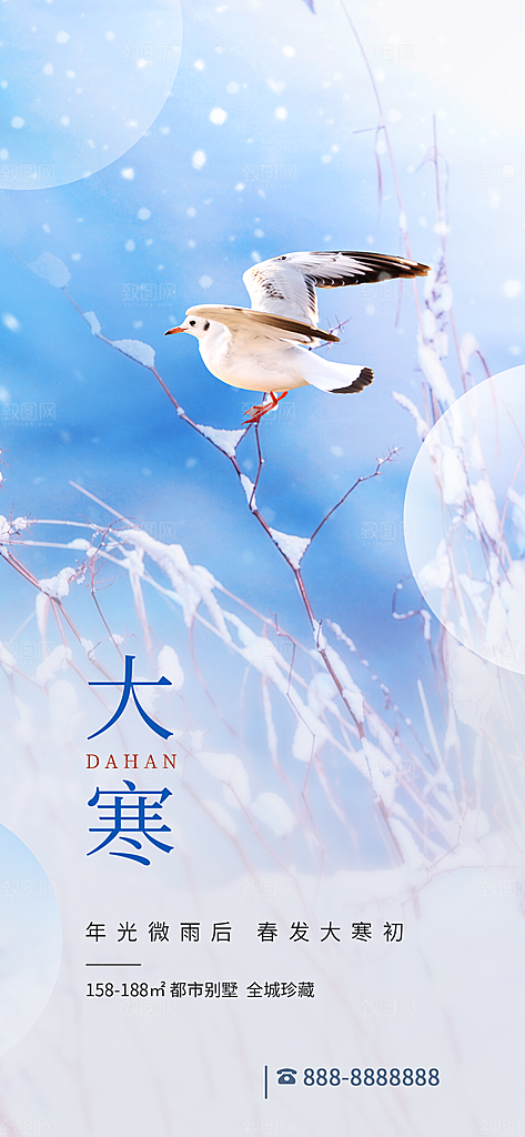 大寒节气海报设计