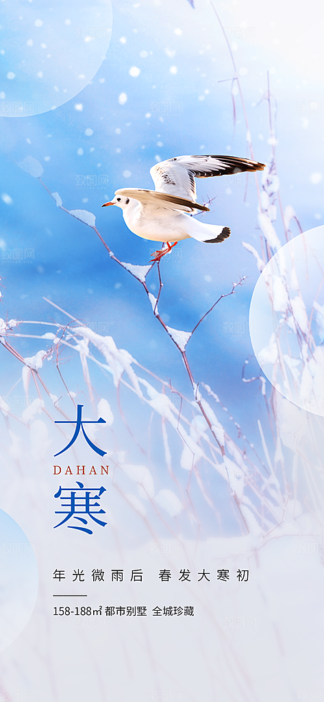 传统节气大寒海报模版