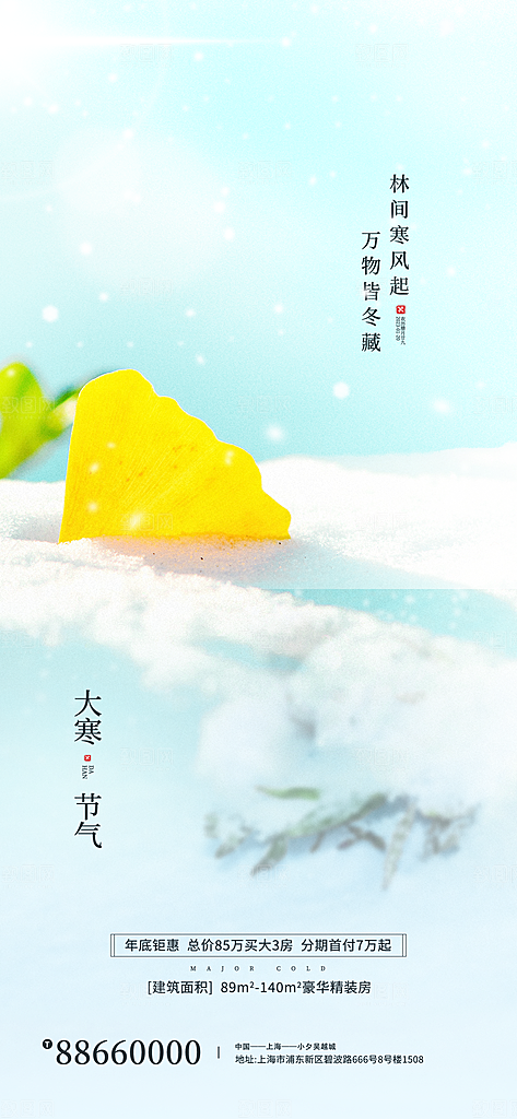 传统节气大寒海报模版
