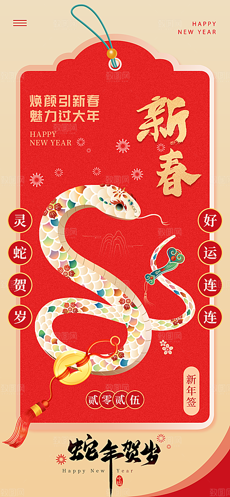 蛇年新年简约大气海报