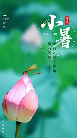 小暑节气简约大气海报