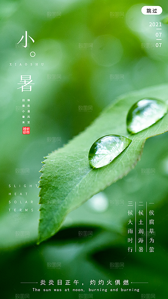 小暑节气简约大气海报